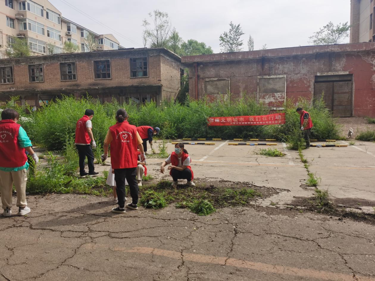 創建文明城市 我們在行動——金誠擔保公司黨支部黨日活動圖1.jpg