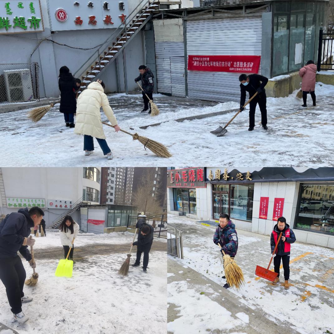 12.16掃雪除冰暖人心——直屬支部主題黨日活動01.jpg